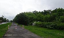 Wciąż brak pomysłu na park Wiśniewo