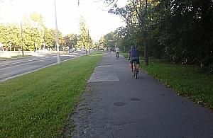 Rowerzyści zapomnieli, jak należy jeździć?