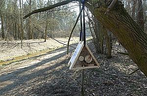 Wiszące ule pojawiły się w Wawrze