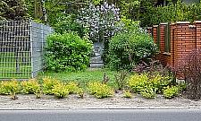 Miejsce pamięci odcięte rowem melioracyjnym. Jak zapalić znicz?