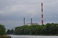 Mieszkańcy nie chcą wycinki drzew nad Kanałem Żerańskim. Żądają konsultacji