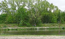 Mieszkańcy nie chcą wycinki drzew nad Kanałem Żerańskim. Żądają konsultacji