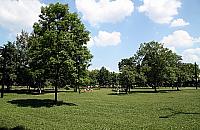 "Dzień rodzinny" w parku Henrykowskim