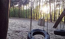 Co się stało z placami zabaw w Lesie Lindego?