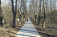 Uczelnia w rezerwacie. Dewastacja czy troska?