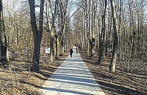 Uczelnia w rezerwacie. Dewastacja czy troska?