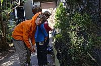 Wkraczają szkoły demokratyczne, bo publiczne są beznadziejne