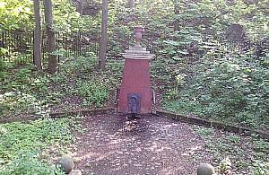 Dobrze ukryte, zabytkowe źródełko w lesie