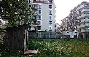 Bogaci i biedni, czyli Nowa Wola