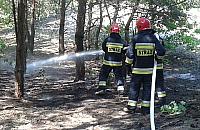 Palił się las na Białołęce Dworskiej