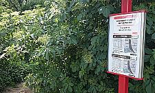 Prom pływa jak co roku. Oto wszystkie grzechy "Turkawki"