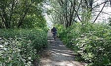 Prom pływa jak co roku. Oto wszystkie grzechy "Turkawki"