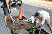 Zwolennicy zieleni chcą wysadzić Bielany
