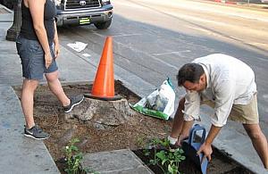 Zwolennicy zieleni chcą wysadzić Bielany