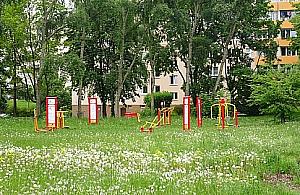 Co z parkiem przy Anieli Krzywoń?