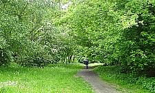 Co z parkiem przy Anieli Krzywoń?