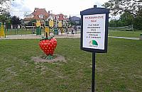 "Truskawkowe Pole" się rozrośnie? Więcej atrakcji, parking i oświetlenie?