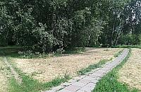 P� miliona wydamy na �wiat�a?