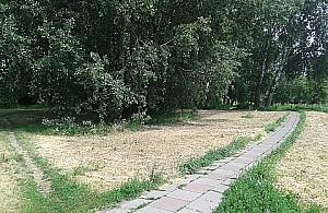 Pół miliona wydamy na światła?