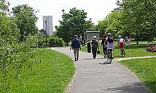 Piesi kontra rowerzyści na Kępie Potockiej