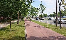 Czemu rowerzyści "blokują ruch"?