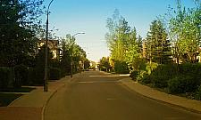 Co wybierze Zacisze? Czyżby plac zabaw?