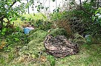 Skończmy z dziadostwem na Zaciszu - apel mieszkańca