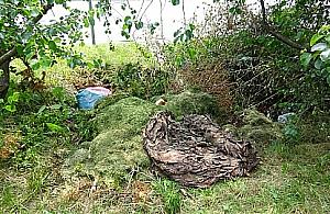 Skończmy z dziadostwem na Zaciszu - apel mieszkańca