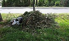 Skończmy z dziadostwem na Zaciszu - apel mieszkańca