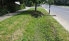 Skończmy z dziadostwem na Zaciszu - apel mieszkańca