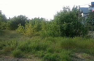 Sadulski Zakątek wygra drugi raz z rzędu?