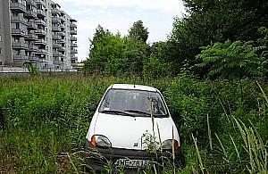 Narwik: Tak natura pochłania auto