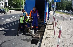 Strażnicy uratowali trzy kaczątka