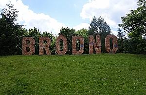 Ogrodzić park Bródnowski?