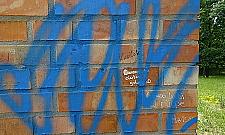 Ogrodzić park Bródnowski?