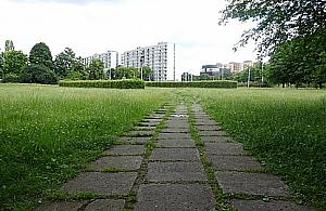 Tajemnicze płytki w parku Bródnowskim. To chodnik, podjazd?