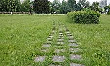 Tajemnicze płytki w parku Bródnowskim. To chodnik, podjazd?