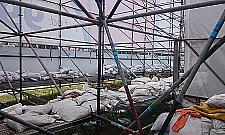 Marketing od kuchni, czyli społeczna rola reklamy wielkoformatowej