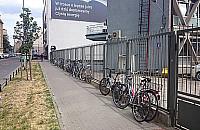 Czysta energia i masa rower�w na Ogrodowej