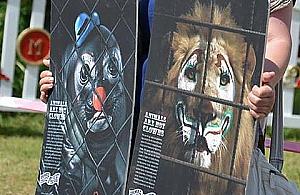 Protestowali pod cyrkiem na Targówku