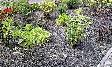 Ciasnota umysłowa na Boernerowie