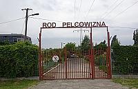 Chłopaki z Aleksandrówka we wspomnieniach