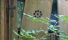 Chłopaki z Aleksandrówka we wspomnieniach