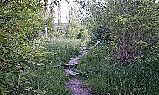 Mroczne królestwo PKP na Odolanach