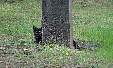 Młynarska jest z innego świata