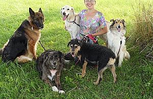 Pokój z kanapą, tarasem i działka z basenem - psy mają swoje hotele