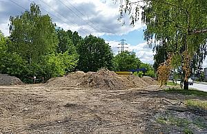 Jak można zarobić na wybiegu dla psów?