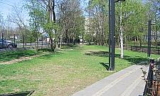 Jak można zarobić na wybiegu dla psów?