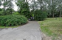 Jak dojechać do ogródków na Kępie Potockiej? Działki odcięte od świata