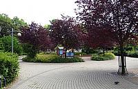 Wola woła: powietrza! Oto wyniki głosowania w budżecie partycypacyjnym